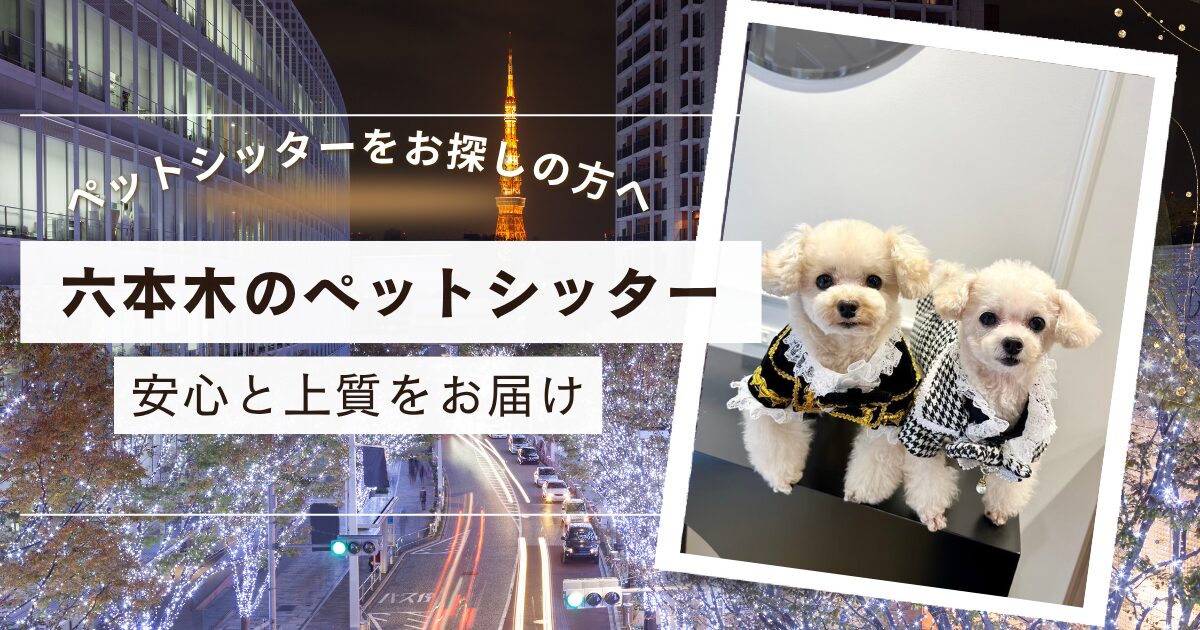 六本木　ペットシッター